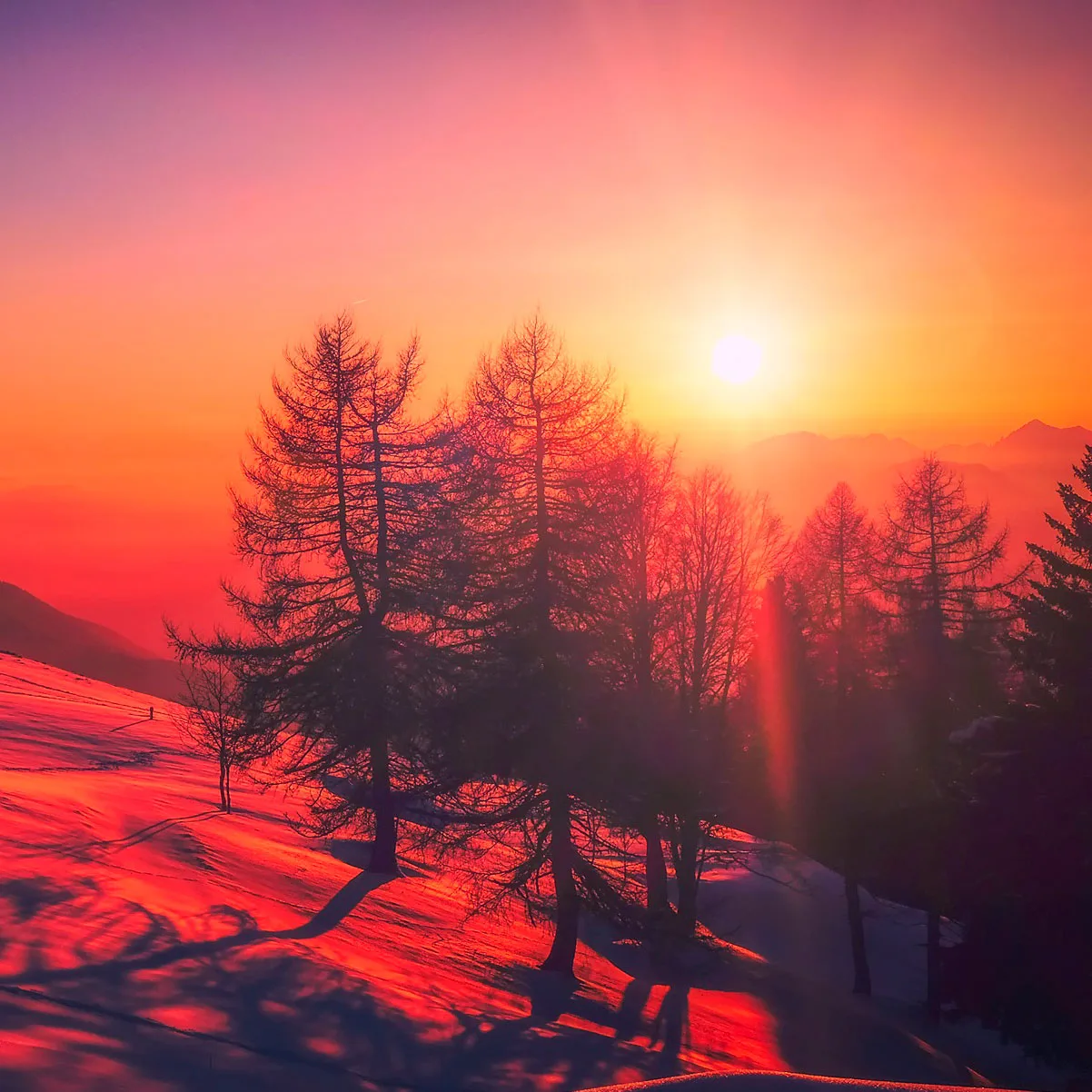 Paisaje de invierno con el sol poniente, nieve y árboles al atardecer, evocando el solsticio de invierno masonería